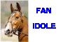 Fan Idole