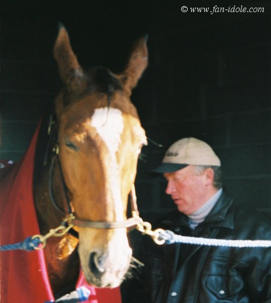  sylvain au box avec fan i