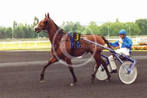 heat coupe du monde 2000 vincennes